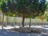 residencia-21