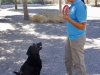 Residencia Canina Barcelona-5