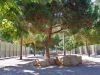 Residencia Canina Barcelona-7