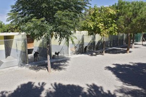 Residencia canina barcelona