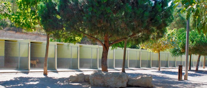 Residencia canina barcelona