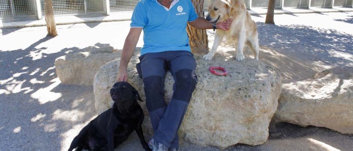 Residencia canina Barcelona