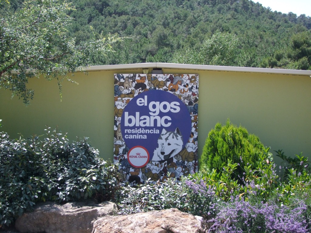 Residencia canina barcelona