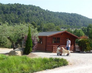 Residencia canina barcelona