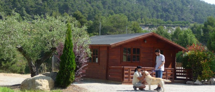 Residencia canina barcelona