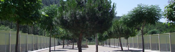 Residencia canina en Barcelona