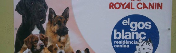 Clase Royal Canin – Programa Creciendo Juntos