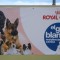 Clase Royal Canin - Programa Creciendo Juntos