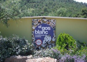 residencia canina-elgosblanc