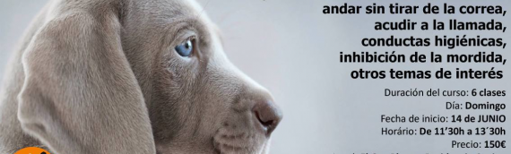 Curso para cachorros- Junio 2015